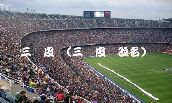 三国皮肤(三国皮肤改名)
