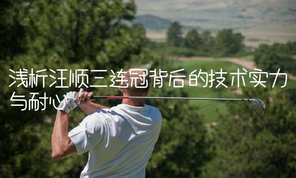 浅析汪顺三连冠背后的技术实力与耐心