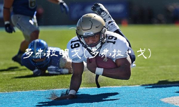 多弗拉明戈(多弗拉门戈)