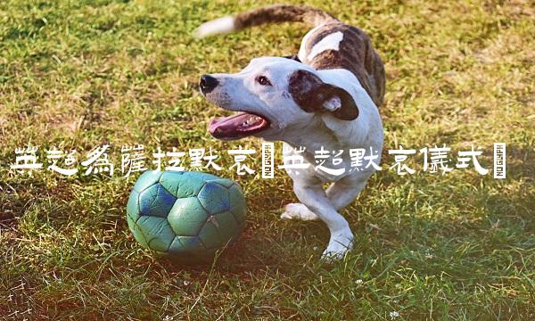 英超为萨拉默哀(英超默哀仪式)