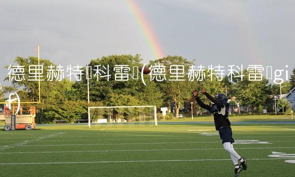 德里赫特铲科雷亚(德里赫特科雷亚gif)