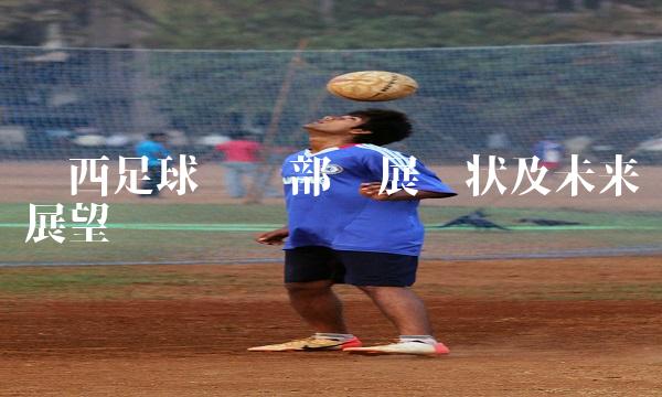 陕西足球俱乐部发展现状及未来展望