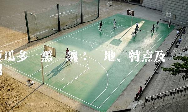 厄瓜多尔黑玫瑰：产地、特点及应用