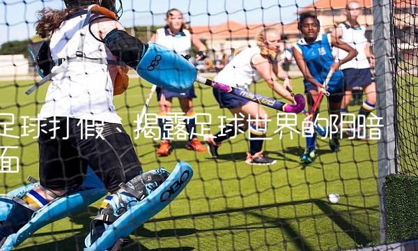 打假：揭露世界的阴暗面