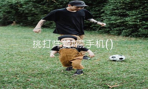 挑打烊餐馆偷手机()
