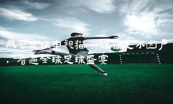 风云猫——让你足不出户，看遍全球盛宴