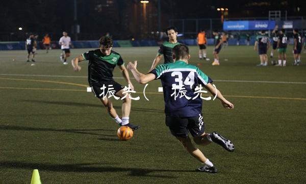 邹振先(邹振先)