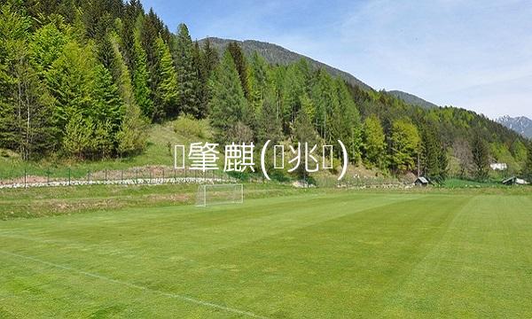 陈肇麒(陈兆锵)