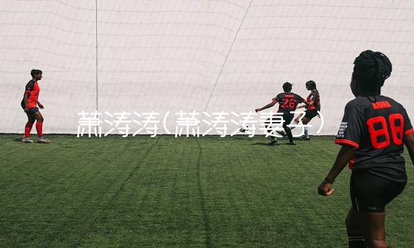 萧涛涛(萧涛涛妻子)(1)