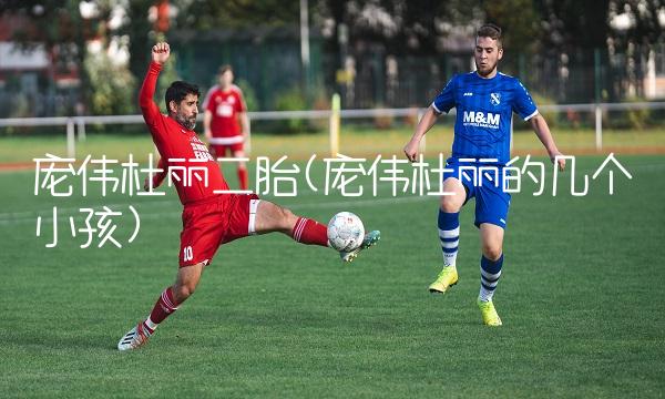 庞伟杜丽二胎(庞伟杜丽的几个小孩)