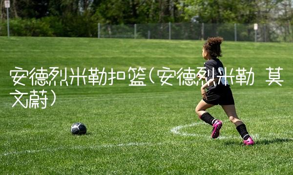 安德烈米勒扣篮(安德烈米勒 莫文蔚)