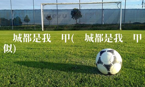 满城都是我马甲(满城都是我马甲类似)
