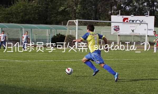 归化球员李可父亲(suglabId_1)