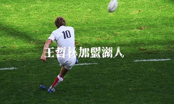 王哲林加盟湖人(2)