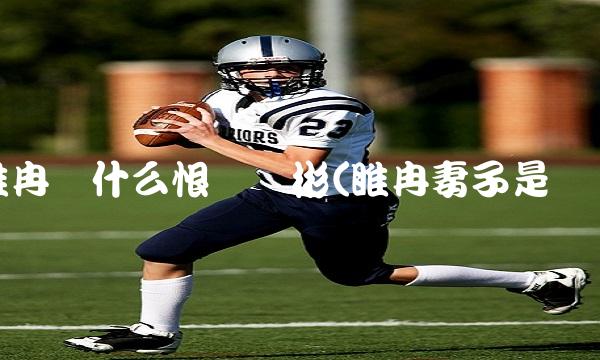 睢冉为什么恨巩晓彬(睢冉妻子是谁)
