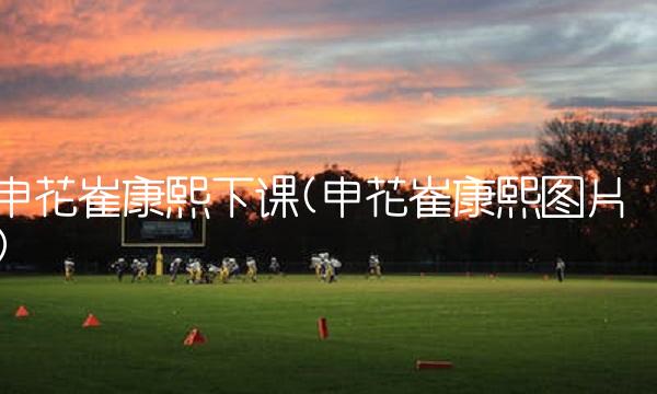 申花崔康熙下课(申花崔康熙图片)