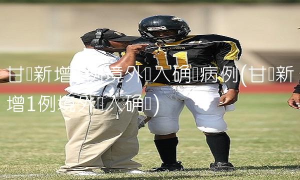 甘肃新增1例境外输入确诊病例(甘肃新增1例境外输入确诊)