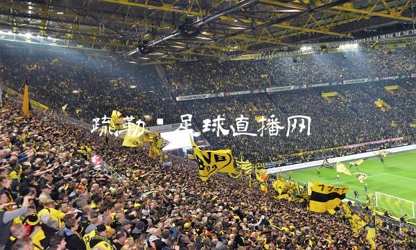 疏勒县足球直播网(疏勒县足球比赛)