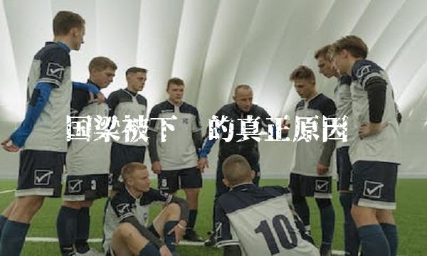 国梁被下课的真正原因(2)