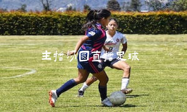 主播汤圆直播足球
