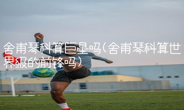 舍甫琴科算巨星吗(舍甫琴科算世界级的前锋吗)