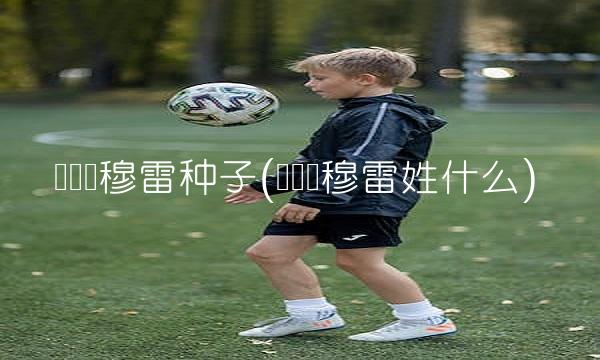 贾马尔穆雷种子(贾马尔穆雷姓什么)