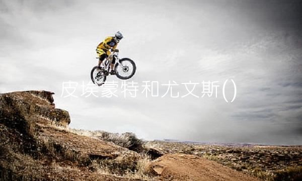 皮埃蒙特和尤文斯()