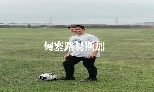 何塞路易斯加亚 路易斯 加亚