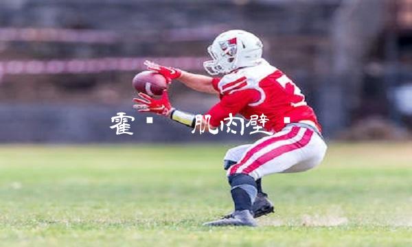 霍华德肌肉壁纸 霍华德肌肉壁纸图片
