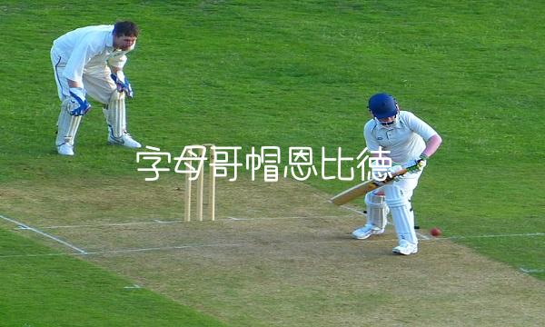 字母哥帽恩比德 字母哥隔扣恩比德