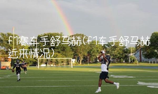 f1赛车手舒马赫(f1车手舒马赫近来情况)
