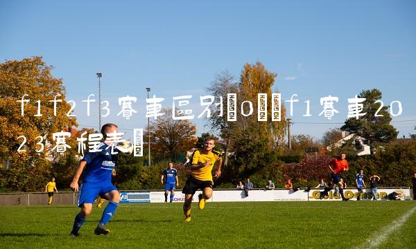 f1f2f3赛车区别(0)(f1赛车2023赛程表)