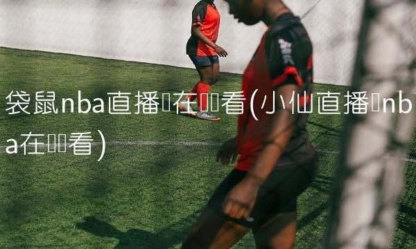 袋鼠nba直播间在线观看(小仙直播间nba在线观看)