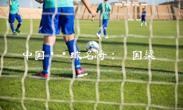 中国乒乓球名将：国梁