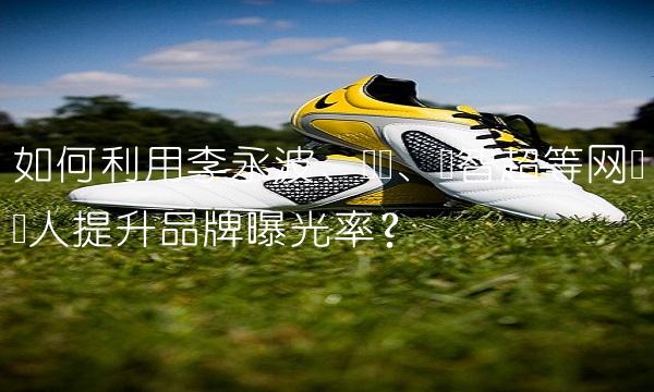如何利用李永波、谢颖、龚智超等网络红人提升品牌曝光率？