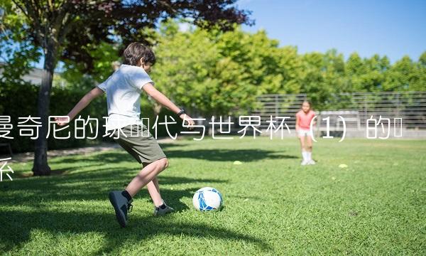 曼奇尼的球员时代与世界杯（1）的关系