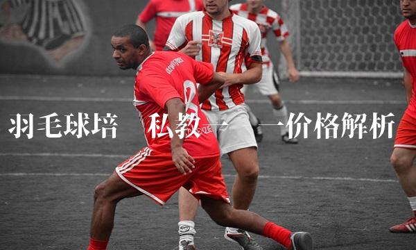 羽毛球培训私教一对一价格解析