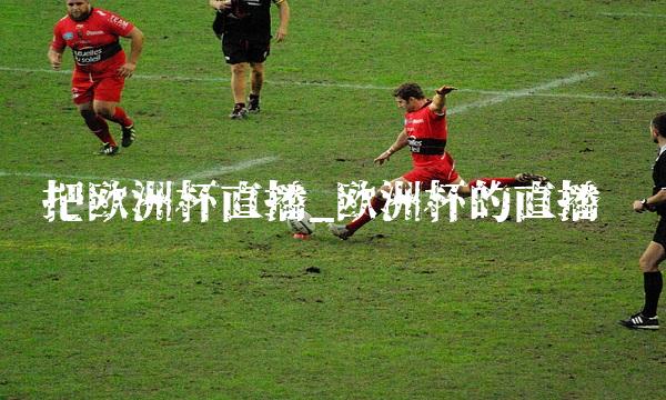 把欧洲杯直播_欧洲杯的直播