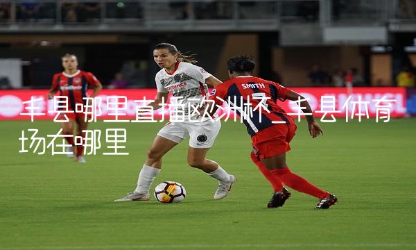 丰县哪里直播欧洲杯_丰县体育场在哪里