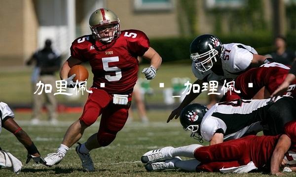 加里佩顿垃圾话_加理佩顿
