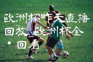 欧洲杯昨天直播回放_欧洲杯全场回看