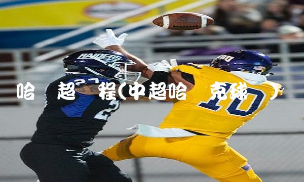 哈萨超赛程(中超哈萨克球员)
