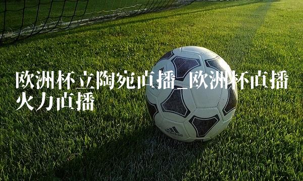 欧洲杯立陶宛直播_欧洲杯直播火力直播