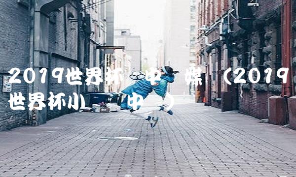 2019世界杯对中国媒体(2019世界杯小组赛中国)