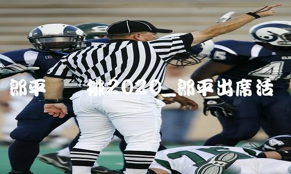 郎平总结排2020_郎平出席活动