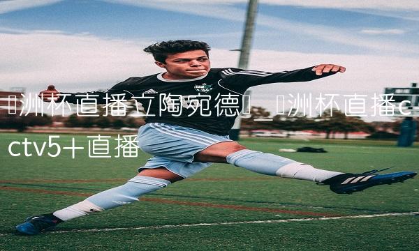 欧洲杯直播立陶宛德国_欧洲杯直播cctv5+直播