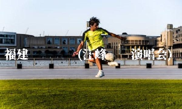 福建鲟浔兴吧(汪峰绵阳演唱会)