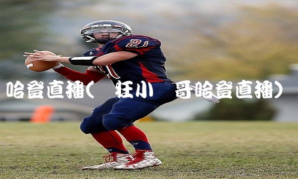 哈登直播(疯狂小杨哥哈登直播)