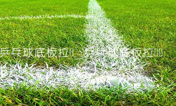 乒乓球底板拉丝_乒乓球底板拉丝图片