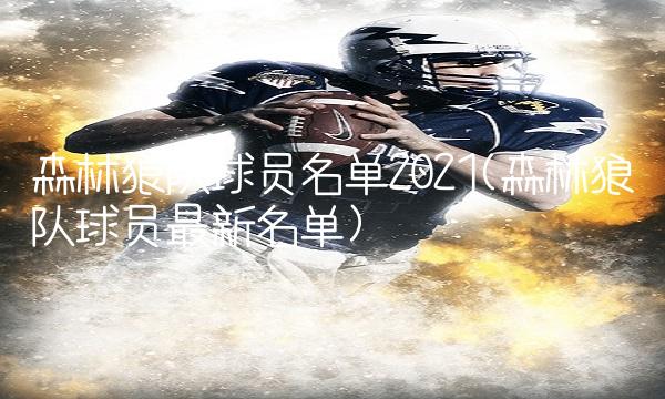 森林狼队球员名单2021(森林狼队球员最新名单)